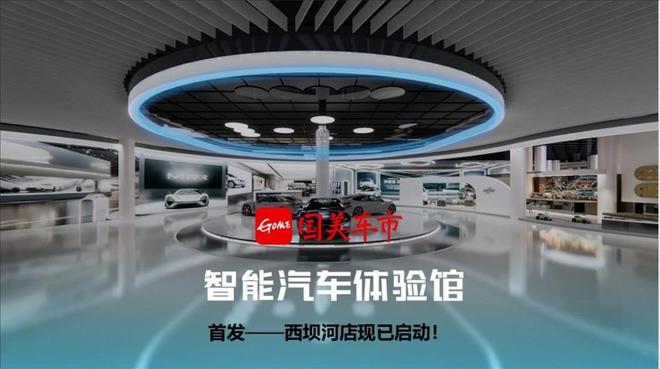 国美打造创新性汽车流通平台“国美车市”进军汽车行业(图4)
