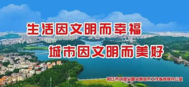 2025年汽车以旧换新政策继续：补贴加码买车省更多！(图5)