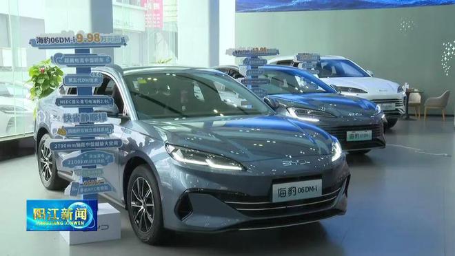 2025年汽车以旧换新政策继续：补贴加码买车省更多！(图4)