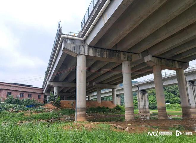 东莞一车坠桥致5死！官方最新回应：正对道路设计等进行调查