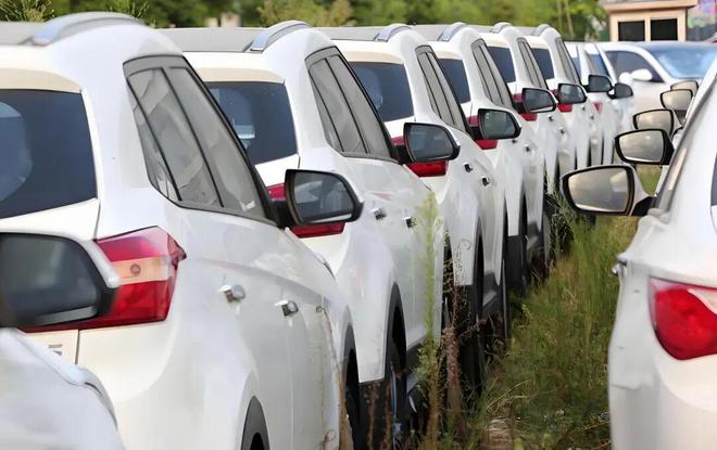 “骗国家钱非常卑鄙” 魏建军怒批“零公里二手车”