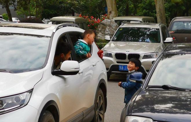 2026年油车新规强制执行！你的爱车还能开多久？快来看看！