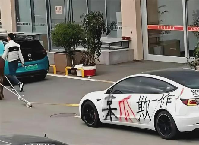 99万的特斯拉到底能不能买？(图6)