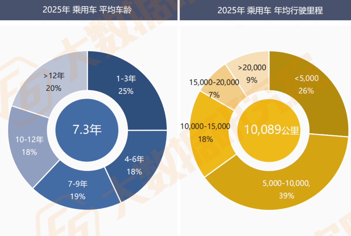 汽车后市场洞察：油电博弈下的分化与破局(图18)